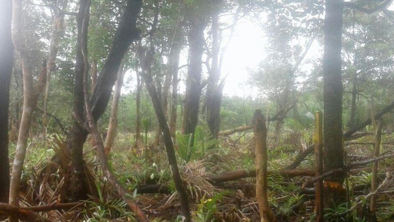 Koh Kong authorities probe land sale in Botum Sakor National Park