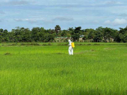 ក្រសួងកសិកម្មអនុម័តថវិកាជាង៧០%នៃថវិកាសរុបទៅលើការគ្រប់គ្រងស្ថាប័ន ខណៈការបង្កើនដំណាំកសិកម្មមានតែ១៤%