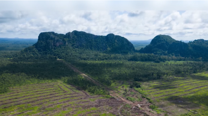 កម្ពុជាបេ្តជ្ញាពង្រីកគម្របព្រៃឈើដើម្បីសម្រេចគោលដៅអព្យាក្រឹតកាបូននៅឆ្នាំ២០៥០