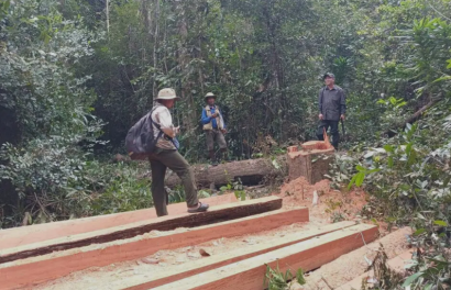 Illegal Logging in Prey Lang Wildlife Sanctuary Recurs as Activists Call for Collaboration