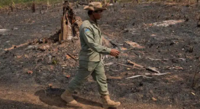 In Cambodia, Indigenous villagers lose forest &amp; land amid carbon offset project