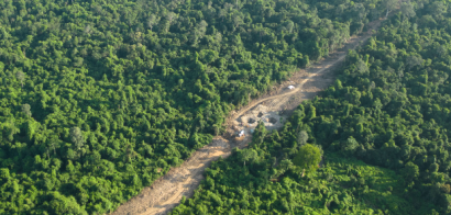 New transmission lines cut a Cambodian rainforest sanctuary in half