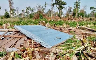 131 Preah Vihear Families Fear Eviction After Crops Razed
